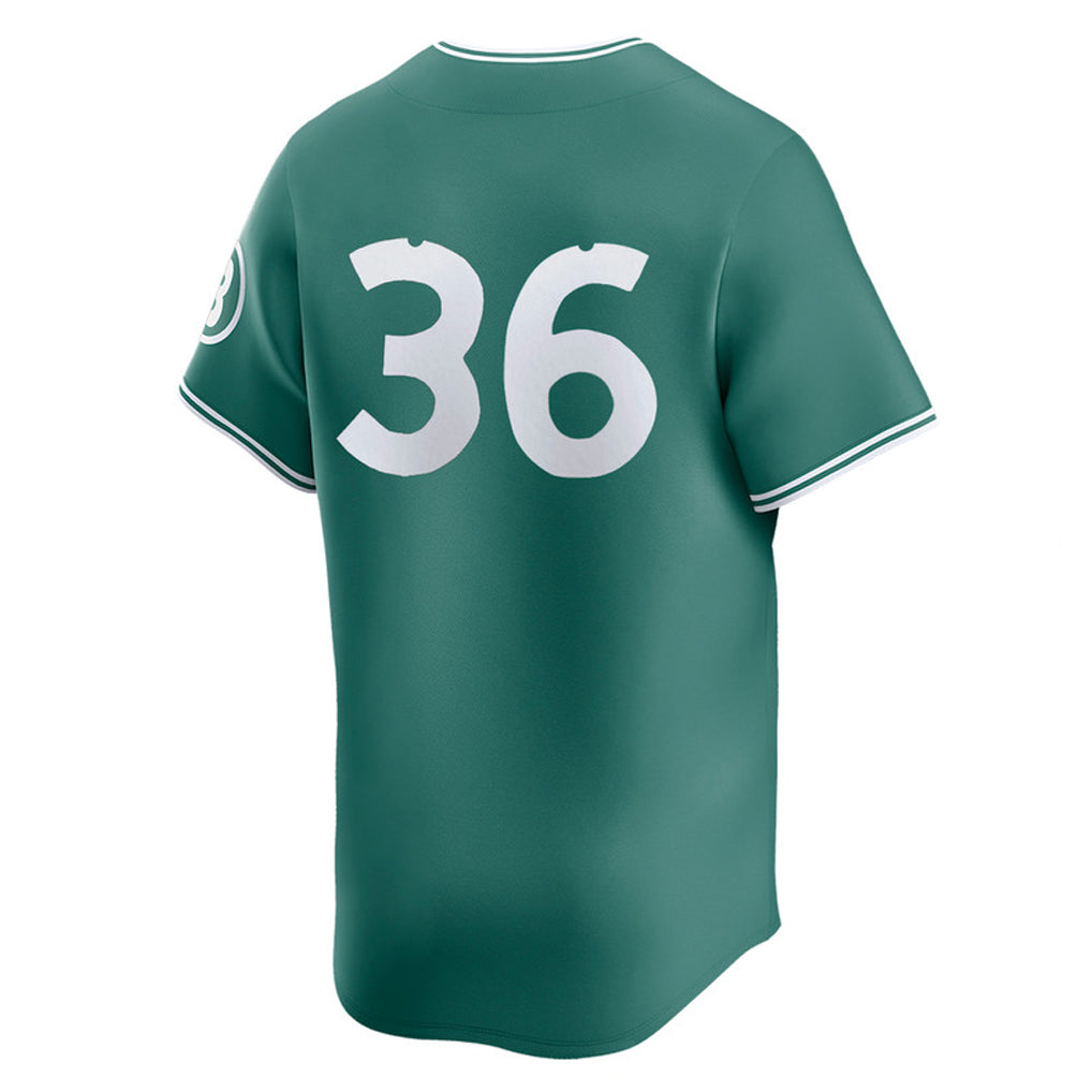 harde B.Red Sox #36 Triston Casas Player Green City Connect Limited Home Game Stitched Jerseys