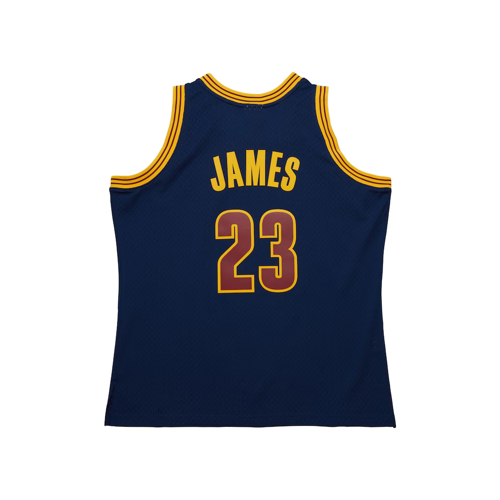 harde C.Cavaliers #23 LeBron James Mitchell & Ness Navy Big & Tall Hardwood Classics 2008-09 Swingman Jerseys