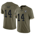 harde LV.Raiders #14 Matt Gay Player Olive Salute To Service Limited Stitched Jerseys