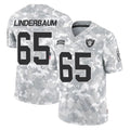 harde LV.Raiders #65 Tyler Linderbaum Player Arctic Camo Salute To Service Limited Game Stitched Jerseys